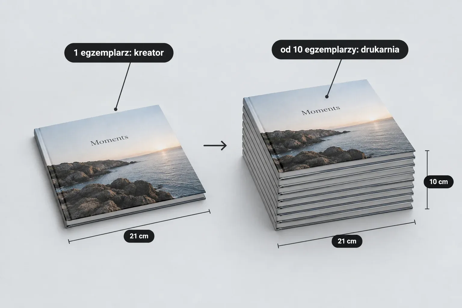 Po lewej jeden album fotograficzny, po prawej równy stos identycznych albumów, między nimi strzałka i podpisy