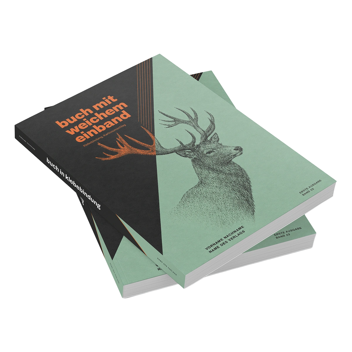 Buch im Softcover mit Klebebindung